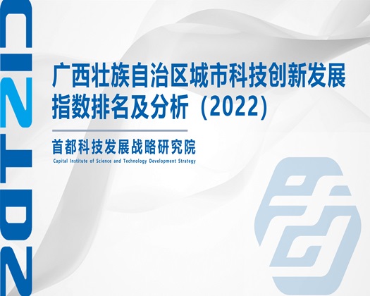 一级操逼强奸视频【成果发布】广西壮族自治区城市科技创新发展指数排名及分析（2022）